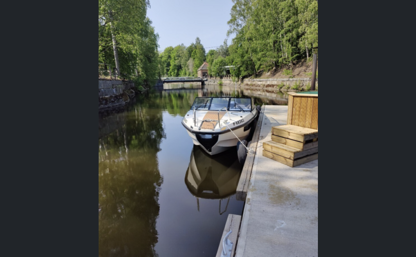 Silver Tiger DC-kuva-1